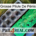 Grosse Pilule De Pénis new04